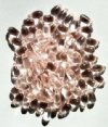 50 5x10mm Transparent Rose Drop Beads